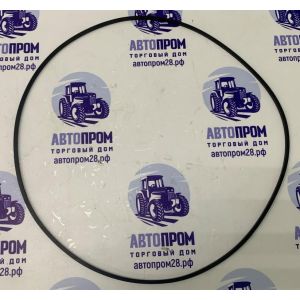 Кольцо тормозного поршня внешнее 5105540/1.65.331 (306.6x3.4x3.4 мм) X1304